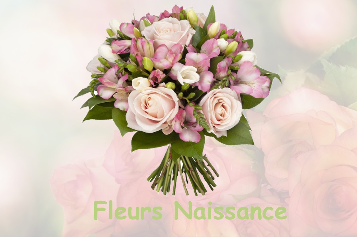 fleurs naissance ROUILLY